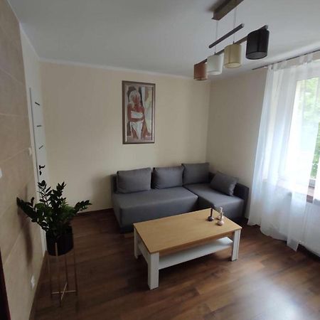 Obok Szczesliwej 7 Gliwice Exterior foto